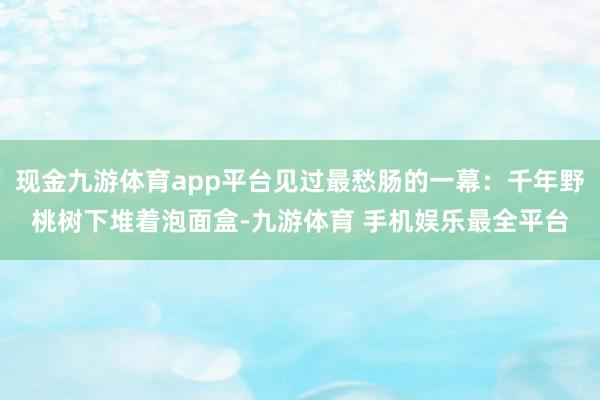 现金九游体育app平台见过最愁肠的一幕：千年野桃树下堆着泡面盒-九游体育 手机娱乐最全平台