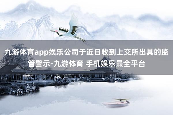 九游体育app娱乐公司于近日收到上交所出具的监管警示-九游体育 手机娱乐最全平台