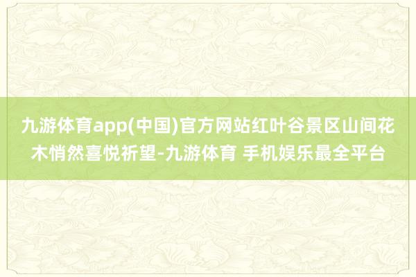 九游体育app(中国)官方网站红叶谷景区山间花木悄然喜悦祈望-九游体育 手机娱乐最全平台