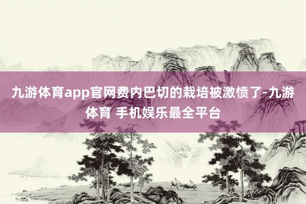 九游体育app官网费内巴切的栽培被激愤了-九游体育 手机娱乐最全平台